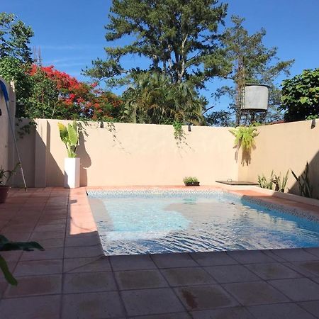 Colibri Hostel Puerto Iguazú Extérieur photo