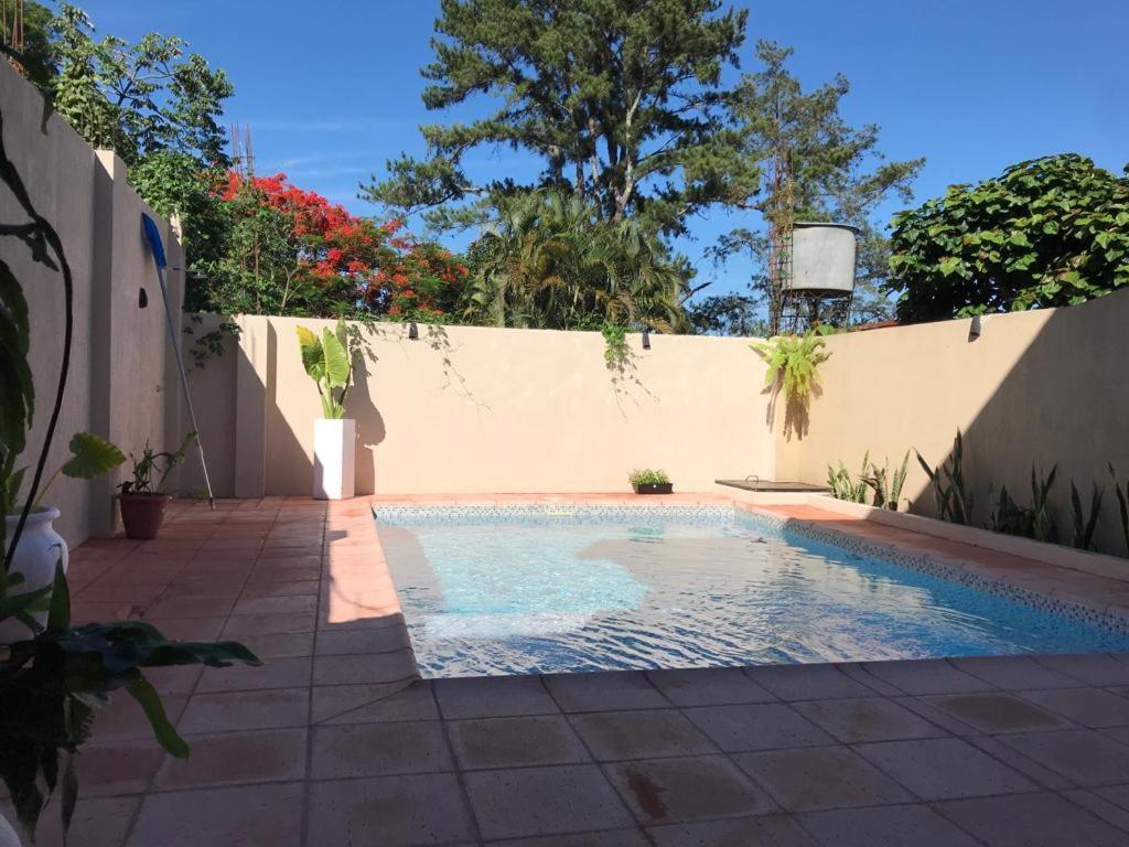 Colibri Hostel Puerto Iguazú Extérieur photo