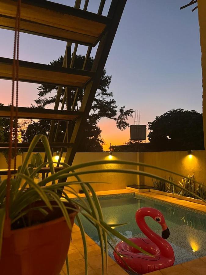 Colibri Hostel Puerto Iguazú Extérieur photo